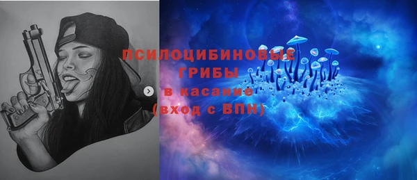 амф Алексин