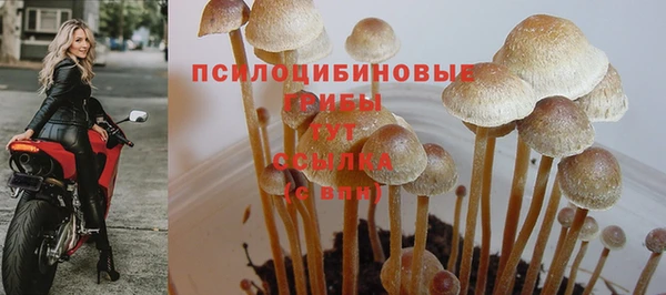 таблы Абаза